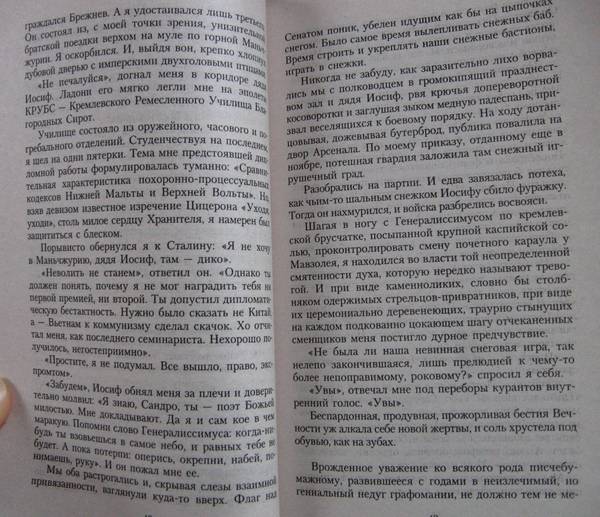 Иллюстрация 2 из 7 для Палисандрия - Саша Соколов | Лабиринт - книги. Источник: К Е А