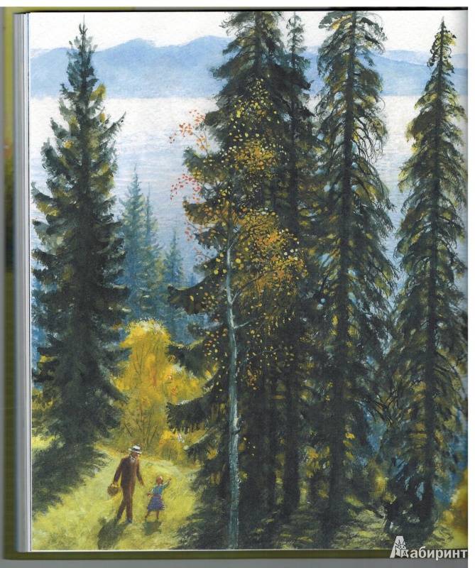 Иллюстрация 40 из 69 для Корзина с еловыми шишками - Константин Паустовский | Лабиринт - книги. Источник: Агаточка