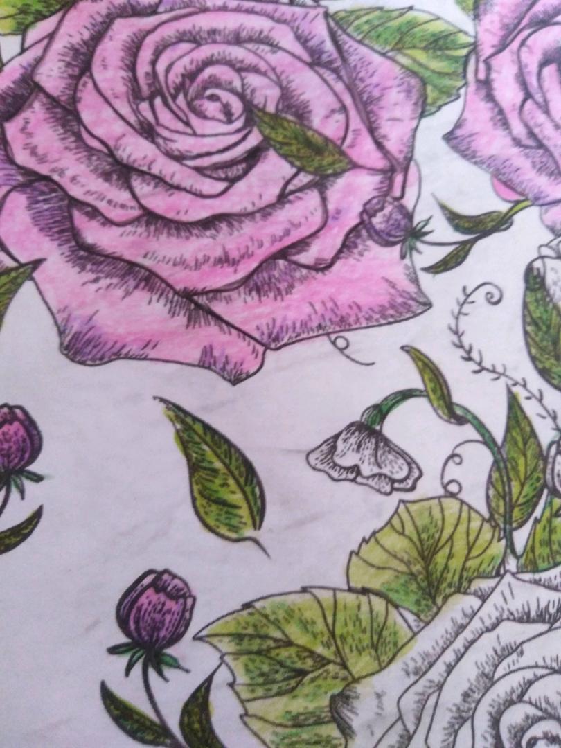 Иллюстрация 32 из 32 для Книга-раскраска. Прекрасные сады | Лабиринт - книги. Источник: Еричана Ирина-Манинья