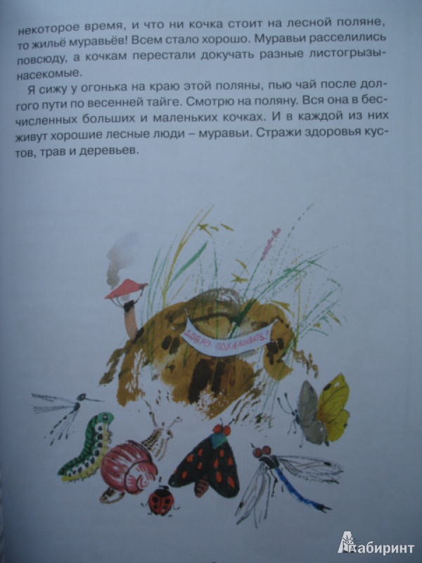 Иллюстрация 25 из 45 для Заячье зеркало - Семен Устинов | Лабиринт - книги. Источник: Blackboard_Writer