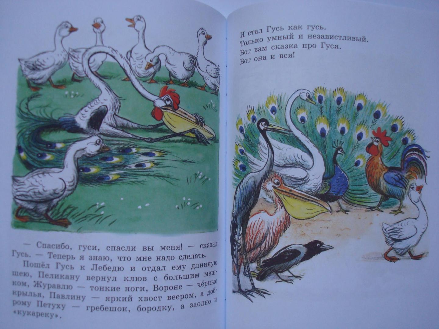 Иллюстрация 113 из 165 для Сказки и картинки - Владимир Сутеев | Лабиринт - книги. Источник: Без-Ника