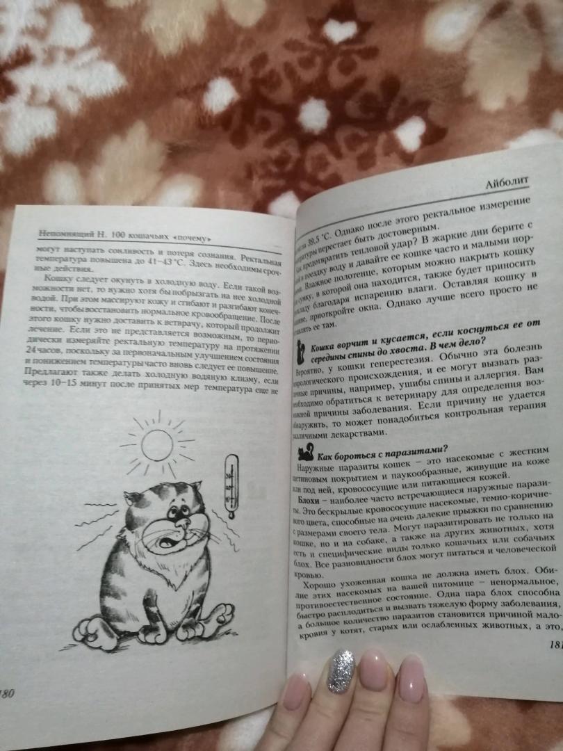 Иллюстрация 27 из 34 для 100 кошачьих "Почему". Вопросы и ответы - Николай Непомнящий | Лабиринт - книги. Источник: Лилия