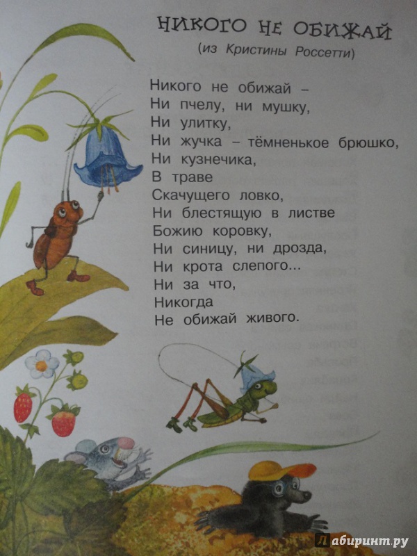 Иллюстрация 40 из 56 для Вежливый слон - Лунин, Левин, Муха | Лабиринт - книги. Источник: flower 11