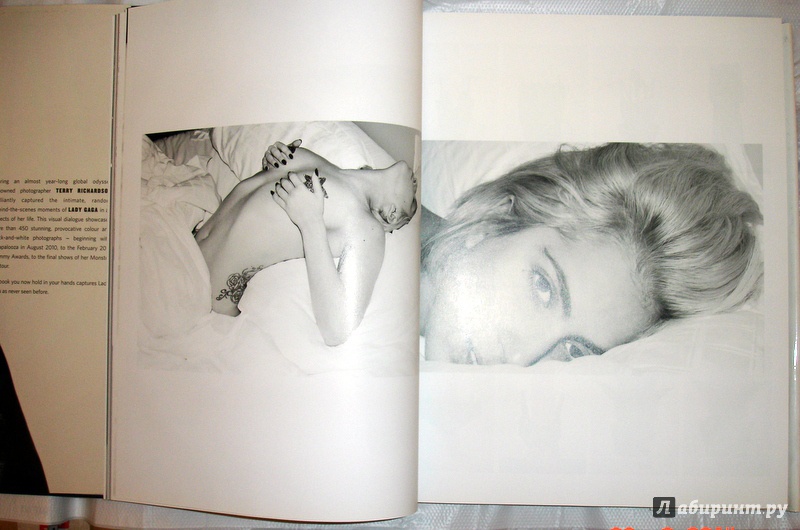 Иллюстрация 4 из 8 для Lady Gaga | Лабиринт - книги. Источник: Kassavetes