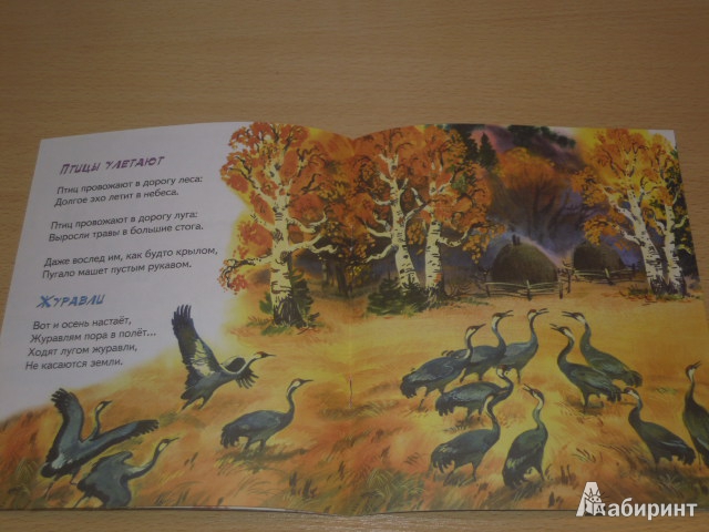 Иллюстрация 4 из 15 для Осень - рыжая лиса - Владимир Степанов | Лабиринт - книги. Источник: Iwolga