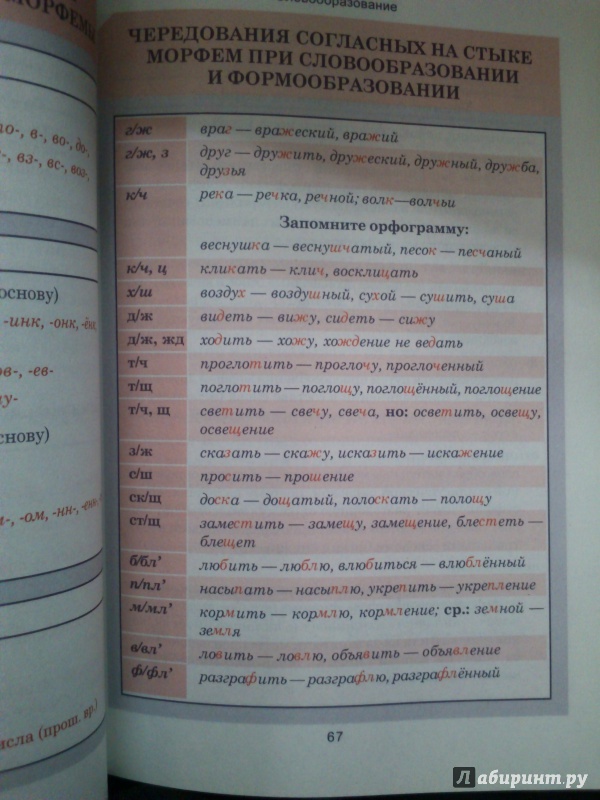 Иллюстрация 27 из 31 для Русский язык. Весь школьный курс в таблицах | Лабиринт - книги. Источник: Polinna