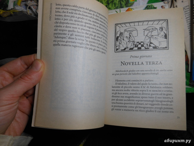 Иллюстрация 10 из 19 для Decameron - Giovanni Boccaccio | Лабиринт - книги. Источник: Савина  Евгения
