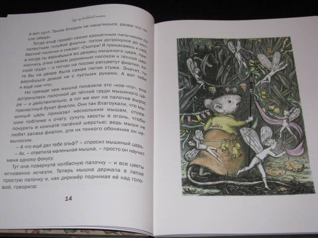 Иллюстрация 31 из 39 для Суп из колбасной палочки и другие сказки - Ханс Андерсен | Лабиринт - книги. Источник: Nemertona