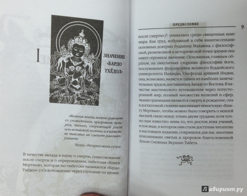 Иллюстрация 15 из 41 для Бардо Тхёдол. Тибетская книга мертвых | Лабиринт - книги. Источник: Tatiana Sheehan