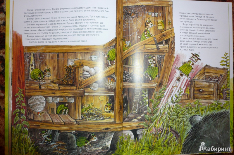 Иллюстрация 14 из 102 для История о том как Финдус потерялся, когда был маленьким - Свен Нурдквист | Лабиринт - книги. Источник: Климкова  Светлана