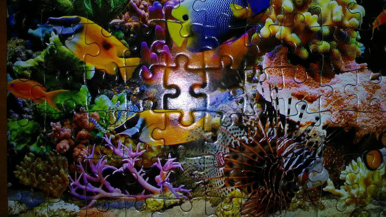 Иллюстрация 18 из 18 для Puzzle-260 MIDI "Цвета океана" (B-27279) | Лабиринт - игрушки. Источник: Selenita