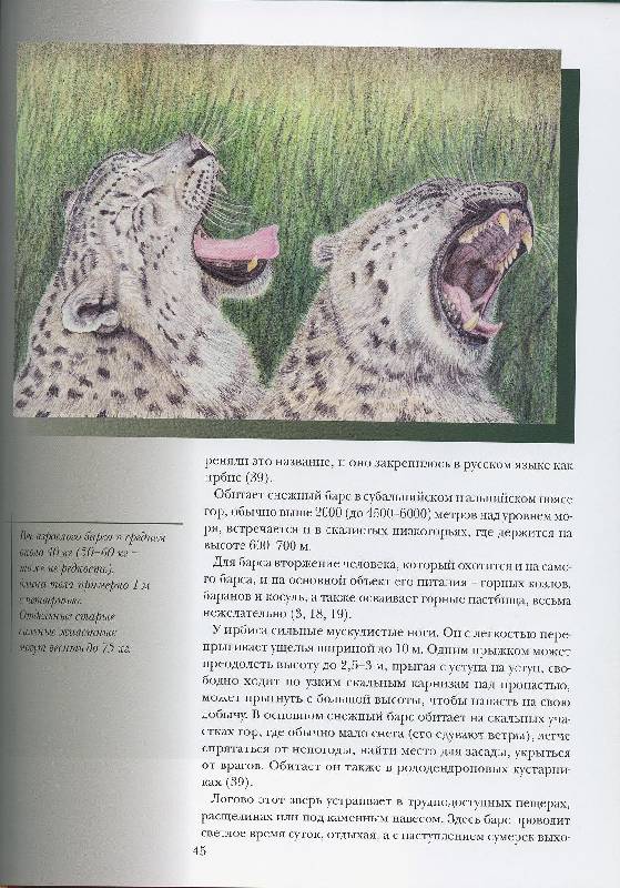 Иллюстрация 37 из 45 для Прогулки по Московскому зоопарку художника Александра Костина | Лабиринт - книги. Источник: Igra
