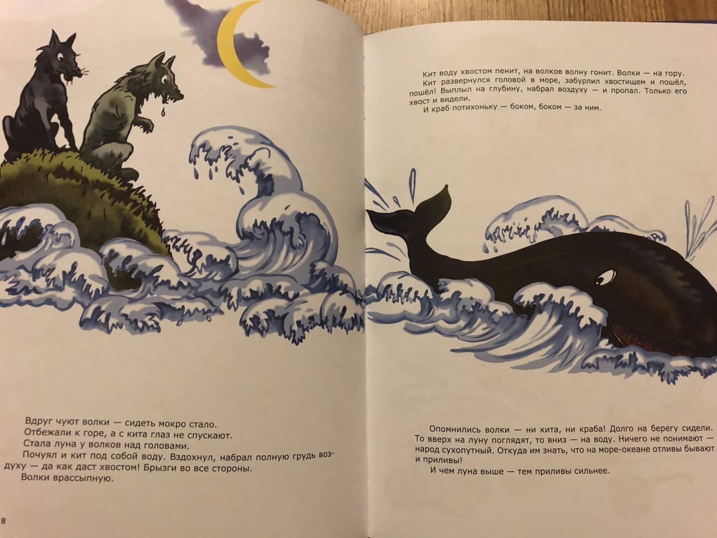 Иллюстрация 49 из 51 для Морские сказки - Святослав Сахарнов | Лабиринт - книги. Источник: Качарава  Вахтанг А