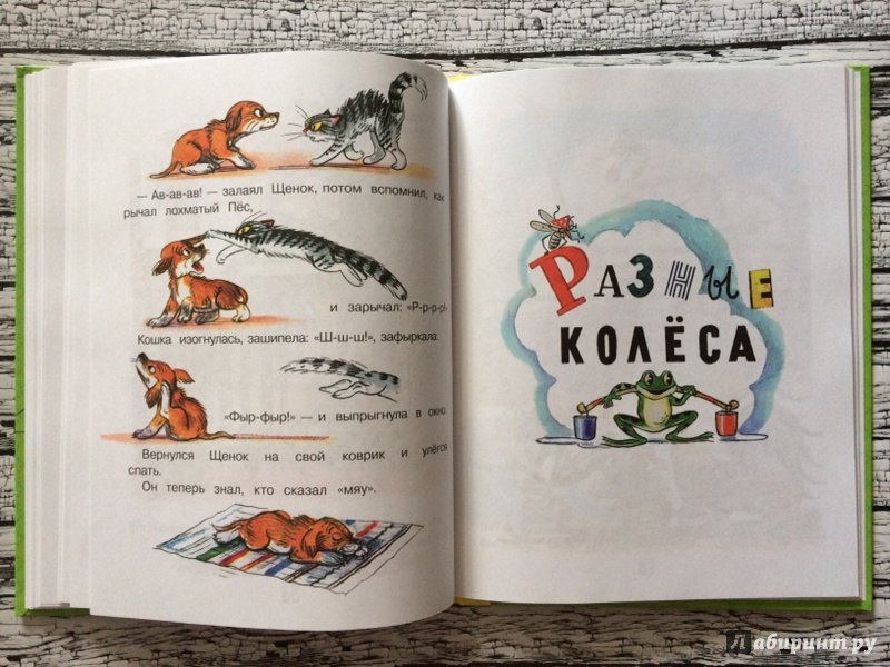 Иллюстрация 46 из 62 для Сказки и картинки - Владимир Сутеев | Лабиринт - книги. Источник: Лабиринт