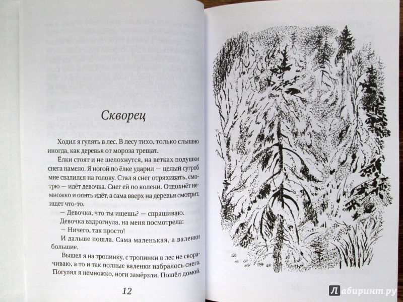 Иллюстрация 5 из 15 для Отважный пингвиненок - Геннадий Снегирев | Лабиринт - книги. Источник: Зеленая шляпа