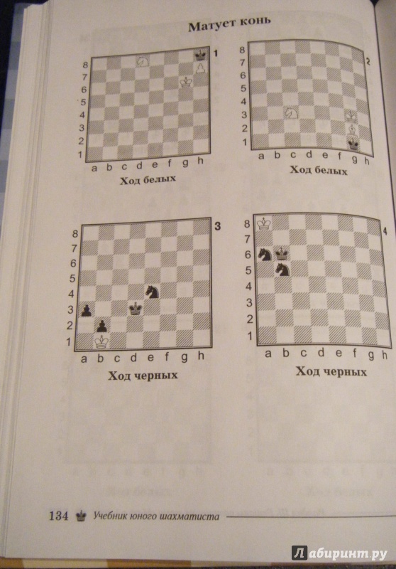 Иллюстрация 5 из 18 для Учебник юного шахматиста - Антонина Трофимова | Лабиринт - книги. Источник: Лабиринт