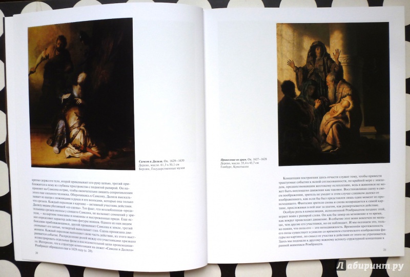 Иллюстрация 20 из 34 для Рембрандт (1606-1669). Раскрывающаяся тайна формы - Михаил Бокемюль | Лабиринт - книги. Источник: fionna_cake