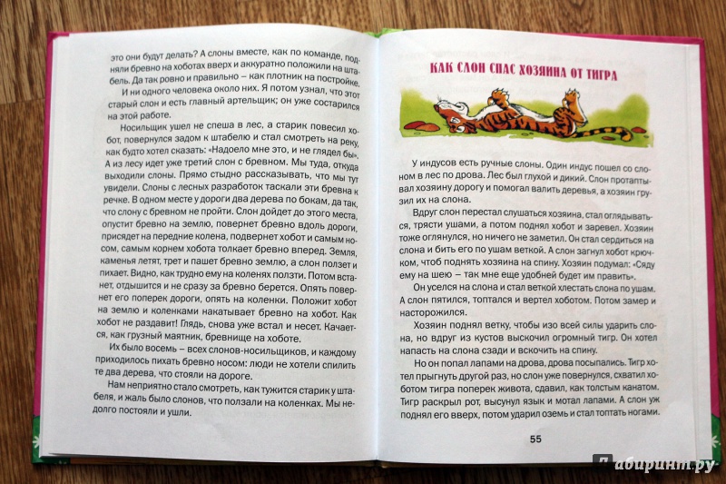 Иллюстрация 14 из 22 для Рассказы о животных - Борис Житков | Лабиринт - книги. Источник: Террил