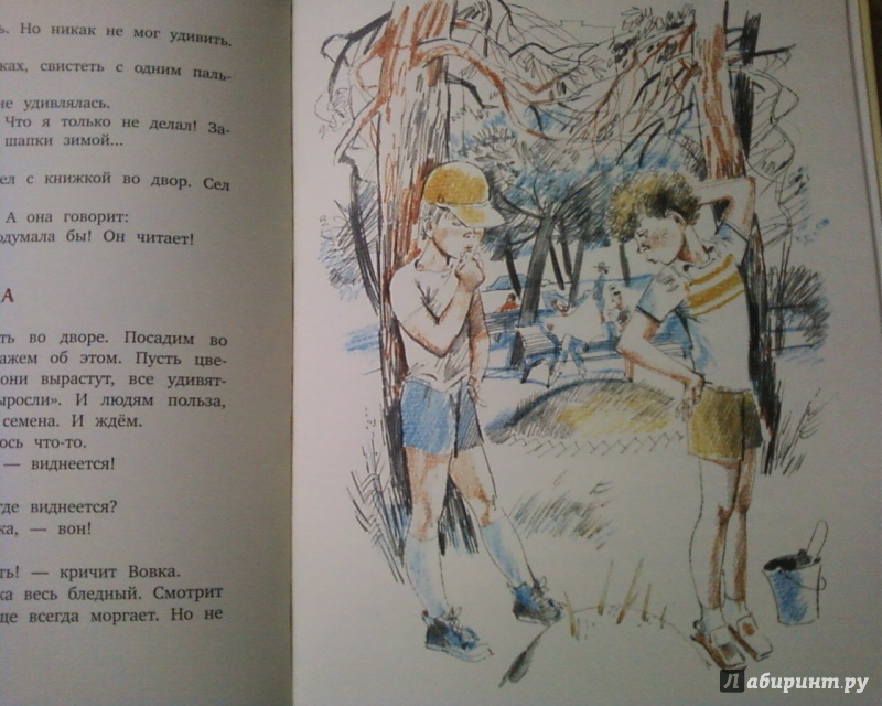Иллюстрация 41 из 44 для После зимы будет лето - Виктор Голявкин | Лабиринт - книги. Источник: Родионова  Надежда