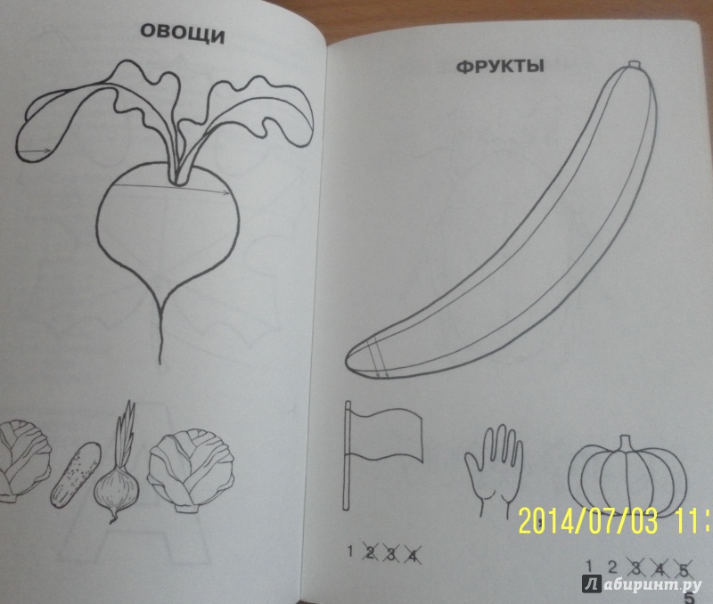 Иллюстрация 6 из 6 для Тетрадь для подготовительной к школе логопедической группы детского сада. ФГОС - Наталия Нищева | Лабиринт - книги. Источник: Половинка  Юля