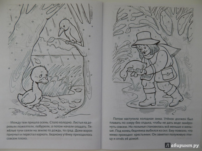 Иллюстрация 14 из 21 для Книжка-раскраска "Гадкий утёнок" | Лабиринт - книги. Источник: Мелкова  Оксана
