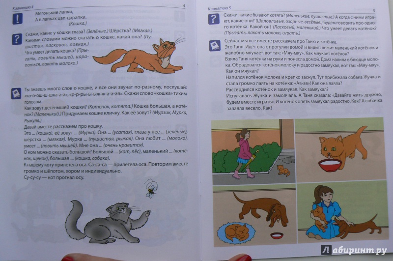 Иллюстрация 26 из 29 для Рабочая тетрадь по развитию речи для детей 4-5 лет. ФГОС ДО - Оксана Ушакова | Лабиринт - книги. Источник: Марина