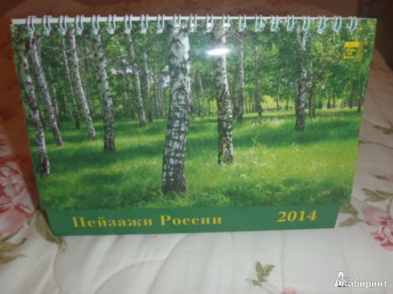 Иллюстрация 2 из 6 для Календарь на 2014 год "Пейзажи России" (19401) | Лабиринт - сувениры. Источник: ksyundel