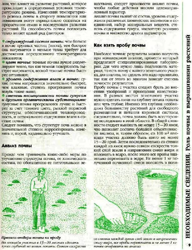 Иллюстрация 10 из 41 для Большая книга садовода и огородника - Октябрина Ганичкина | Лабиринт - книги. Источник: Юта