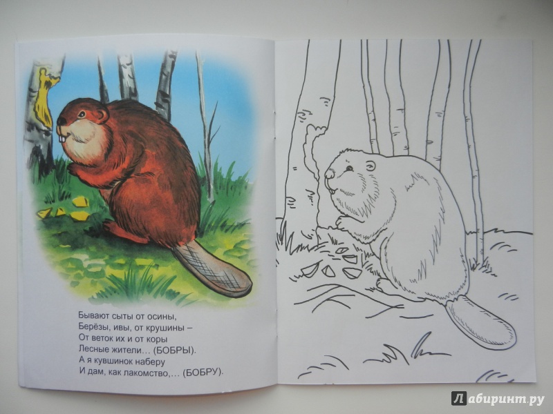 Иллюстрация 21 из 34 для У зверей лесной обед - Юрий Чичев | Лабиринт - книги. Источник: Фея-крестная