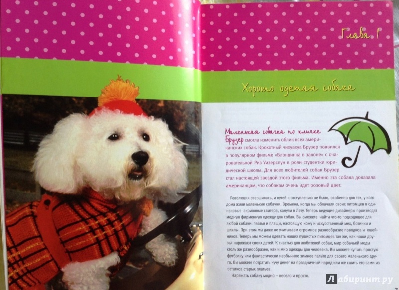 Иллюстрация 13 из 22 для Большая книга красоты для маленькой собачки - Дебора Вуд | Лабиринт - книги. Источник: Космос