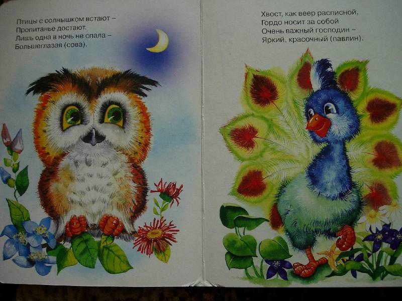 Иллюстрация 3 из 5 для Загадки про птиц | Лабиринт - книги. Источник: Geny