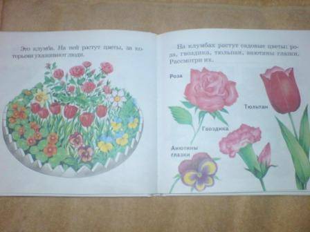 Иллюстрация 5 из 6 для Растения и животные - Инна Светлова | Лабиринт - книги. Источник: Lenok2008