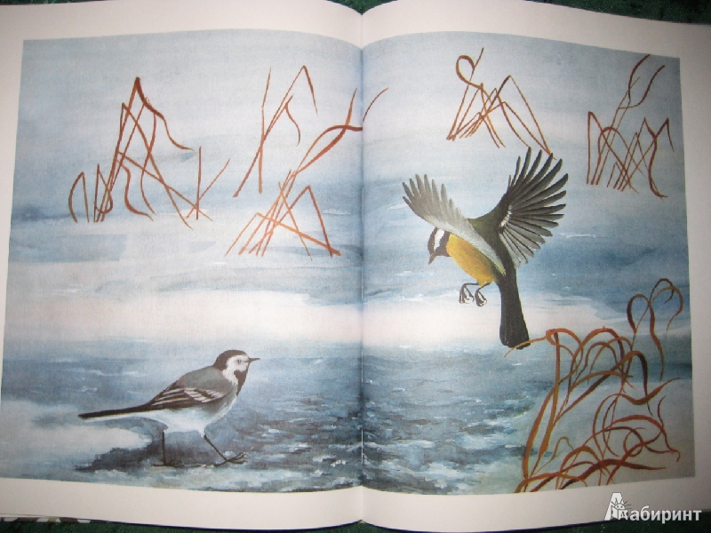 Иллюстрация 20 из 49 для Лесные разведчики - Виталий Бианки | Лабиринт - книги. Источник: Макарова  Елена