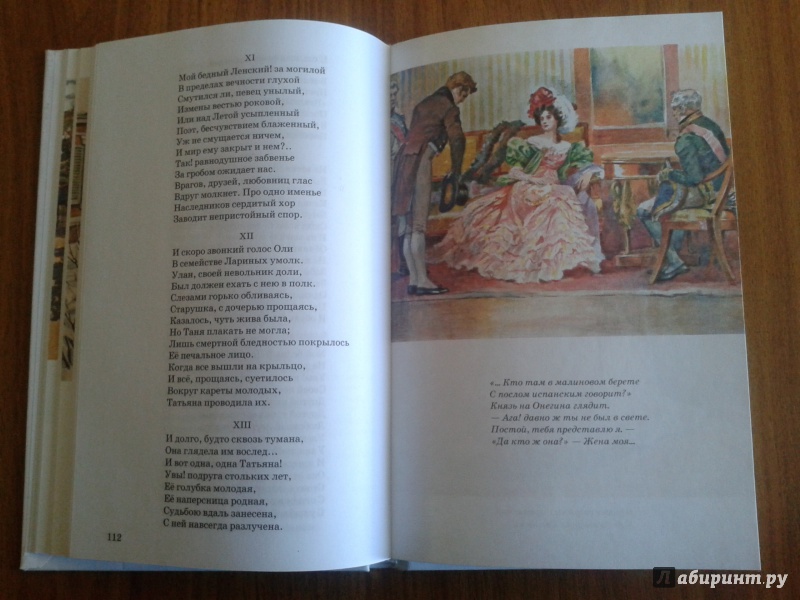 Иллюстрация 18 из 28 для Евгений Онегин - Александр Пушкин | Лабиринт - книги. Источник: strela