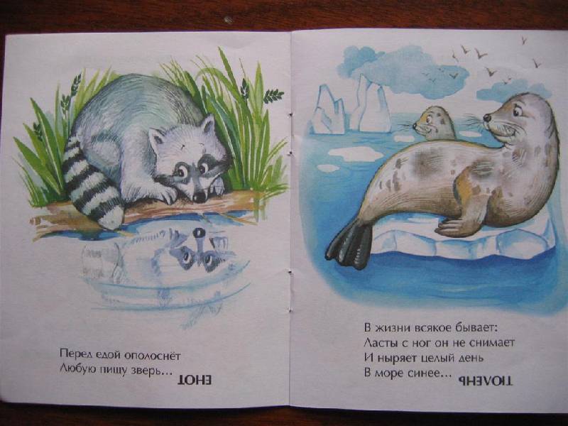 Иллюстрация 2 из 2 для Загадки о животных - Михаил Юрахно | Лабиринт - книги. Источник: Крошка Сью