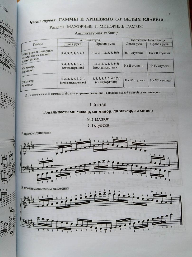 Иллюстрация 17 из 17 для Гаммы и арпеджио для фортепиано | Лабиринт - книги. Источник: Огуй  Светлана Анатольевна