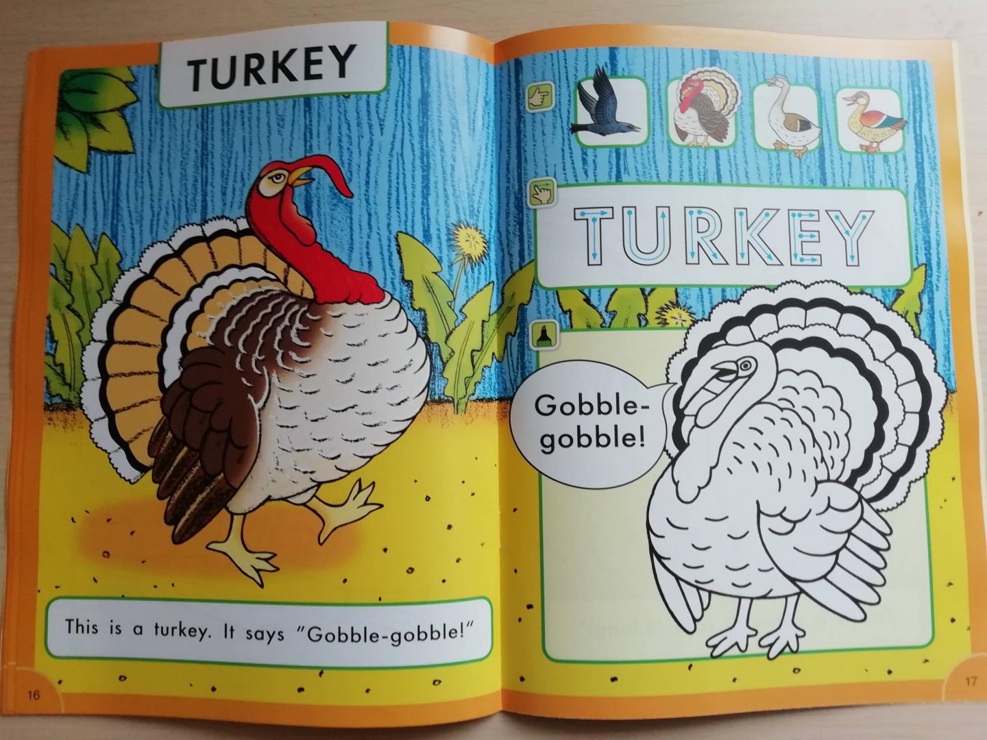 Иллюстрация 11 из 31 для Что говорят птицы? Пособие для детей 3-5 лет - Артур Фрост | Лабиринт - книги. Источник: SoleNn