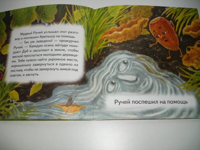 Иллюстрация 31 из 34 для Сказка о маленьком желуде - Полина Орлова | Лабиринт - книги. Источник: Осьминожка