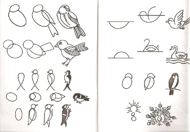 Иллюстрация 2 из 23 для Обучение детей дошкольного возраста рисованию животных по алгоритмическим схемам. ФГОС - Нелли Шайдурова | Лабиринт - книги. Источник: Ксена