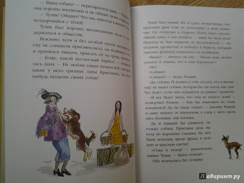 Иллюстрация 15 из 46 для Тузик, Рыжий и гости - Ян Грабовский | Лабиринт - книги. Источник: Olga