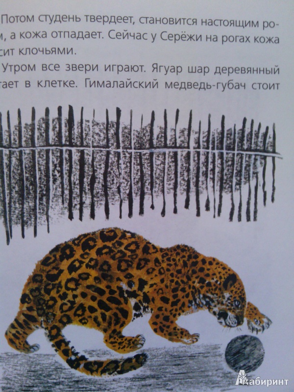 Иллюстрация 4 из 12 для Птичье озеро - Евгений Чарушин | Лабиринт - книги. Источник: SV_V