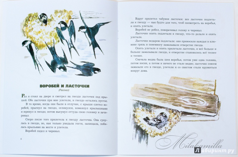 Иллюстрация 45 из 48 для О животных и птицах - Лев Толстой | Лабиринт - книги. Источник: Букландия