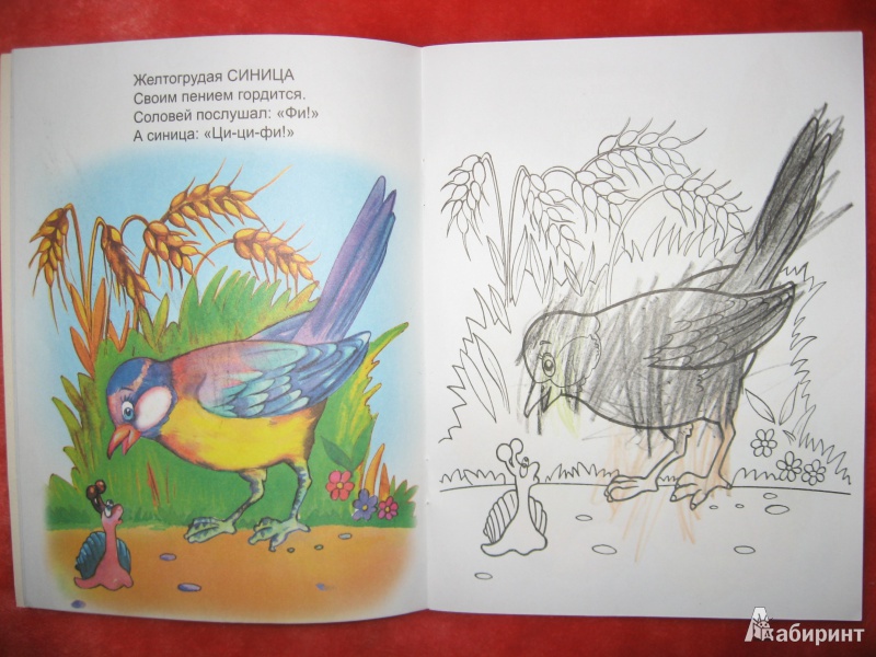 Иллюстрация 6 из 26 для Птичьи голоса - Юрий Чичев | Лабиринт - книги. Источник: Гаранина  Людмила