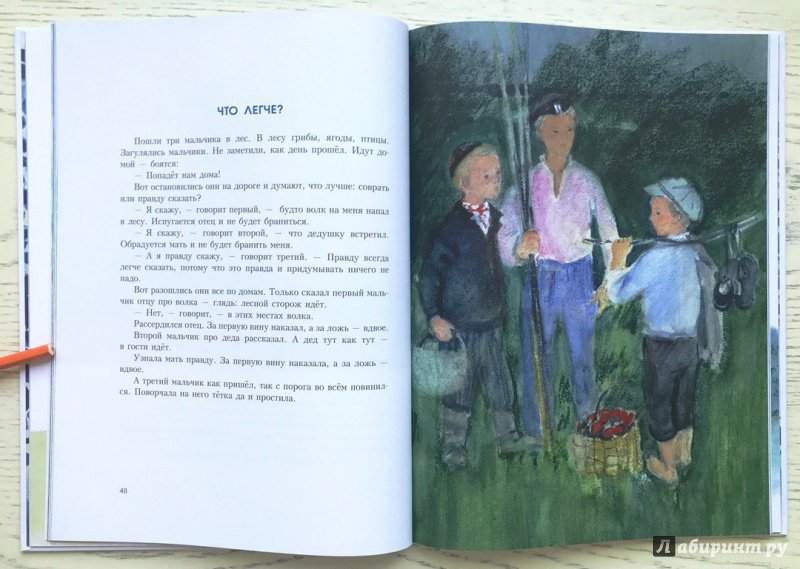Иллюстрация 106 из 106 для Синие листья - Валентина Осеева | Лабиринт - книги. Источник: Книжный шкаф детям