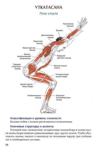Иллюстрация 22 из 30 для Анатомия йоги - Лесли Каминофф | Лабиринт - книги. Источник: Юта