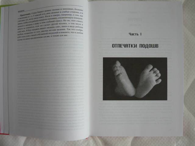 Иллюстрация 1 из 8 для Танцующие ножки: Развитие ребенка от первых толчков до первых шагов - Алан Грин | Лабиринт - книги. Источник: Бэлла