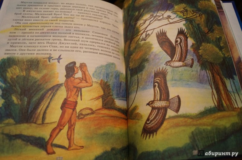 Иллюстрация 56 из 64 для Маугли - Редьярд Киплинг | Лабиринт - книги. Источник: Тухкина  Евгения