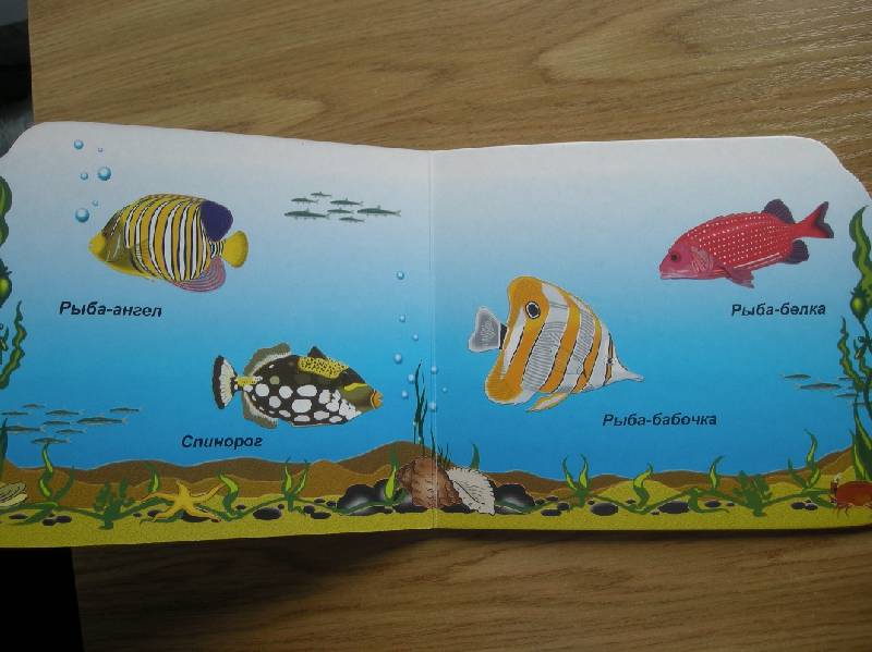 Иллюстрация 11 из 14 для Морские рыбы (вырубка) | Лабиринт - книги. Источник: Мартынова  Анна Владимировна