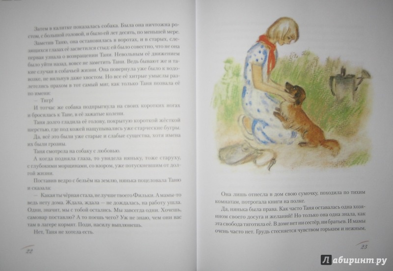 Иллюстрация 57 из 63 для Дикая собака динго, или Повесть о первой любви - Рувим Фраерман | Лабиринт - книги. Источник: Трухина Ирина