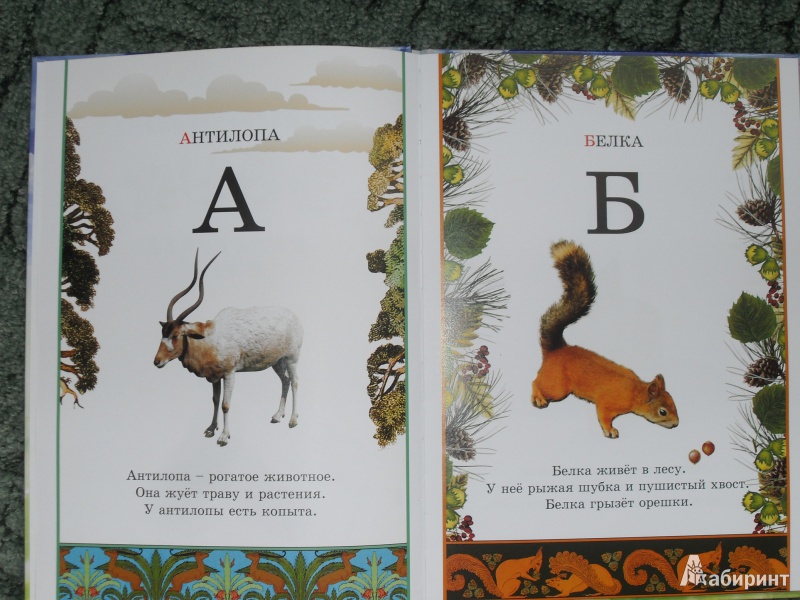 Иллюстрация 5 из 34 для Иллюстрированная азбука животного мира | Лабиринт - книги. Источник: zhukova_vika